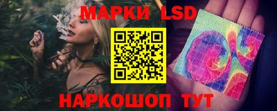 винт Владимир