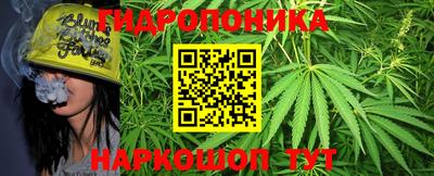 альфа пвп Владикавказ