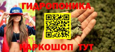 трава Братск