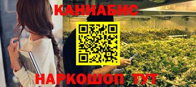 a pvp Брянск