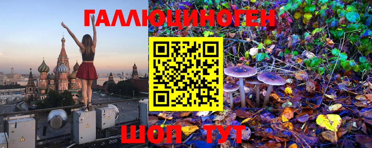 Галлюциногенные грибы GOLDEN TEACHER Губкинский