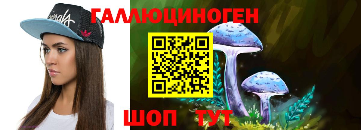 Псилоцибиновые грибы MAGIC MUSHROOMS  Вход с VPN  Псилоцибиновые грибы Psilocybe  Губкинский 